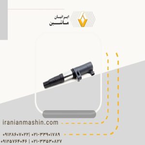 کوئل رنو داستر