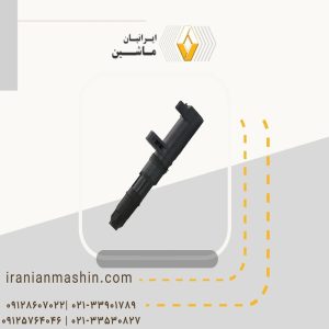 کوئل ساندرو
