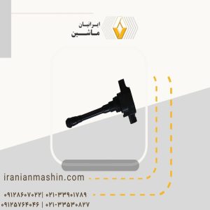 کوئل رنو کولیوس